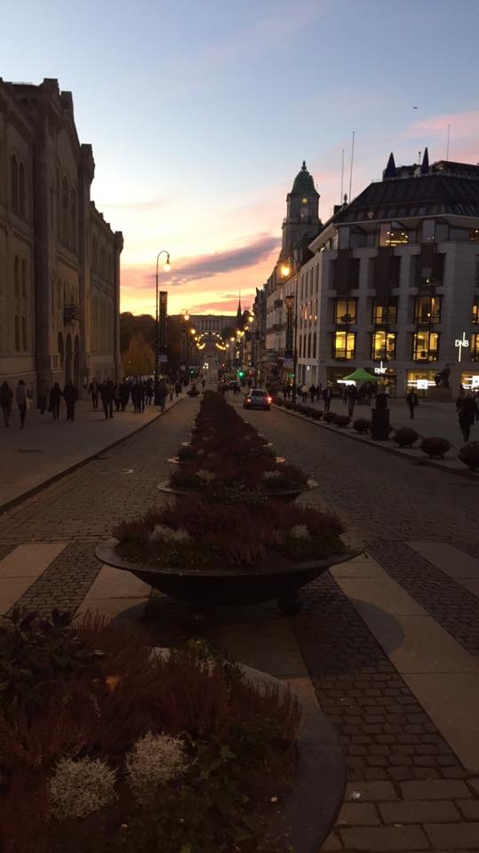Oslo er ett vakkert sted i solnedgangen.